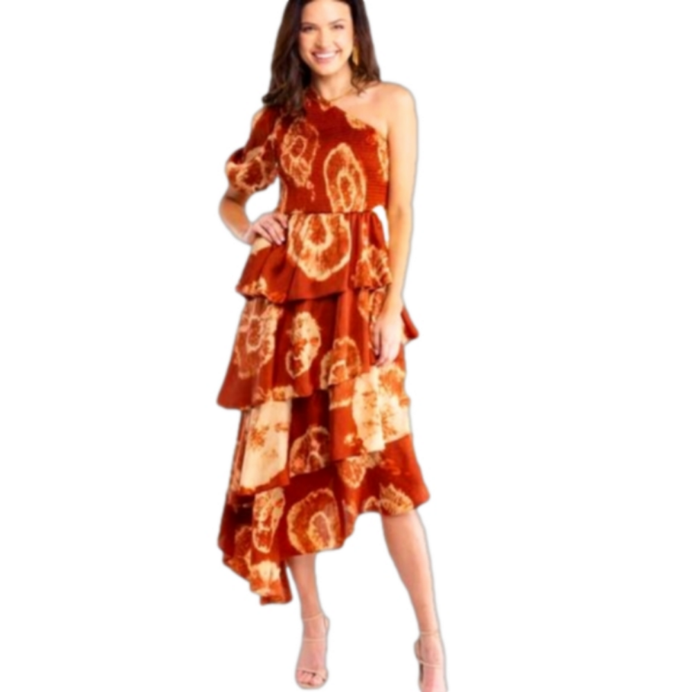 Alden Adair Tiered Collins Midi Dress Size Small NWT